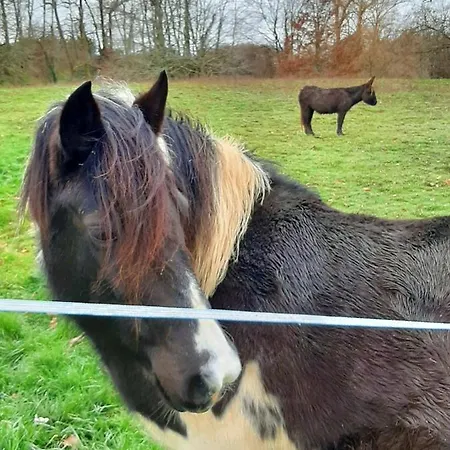 Prázdninový dům Holiday Au Gentieu